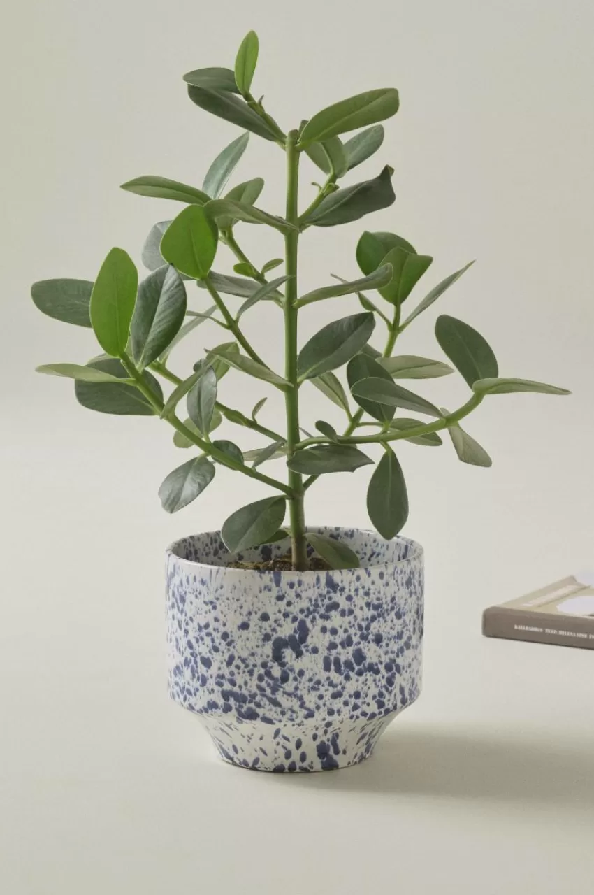 Krukor*Jotex BELLADONNA Kruka ø 21,5 Cm Vit/blå