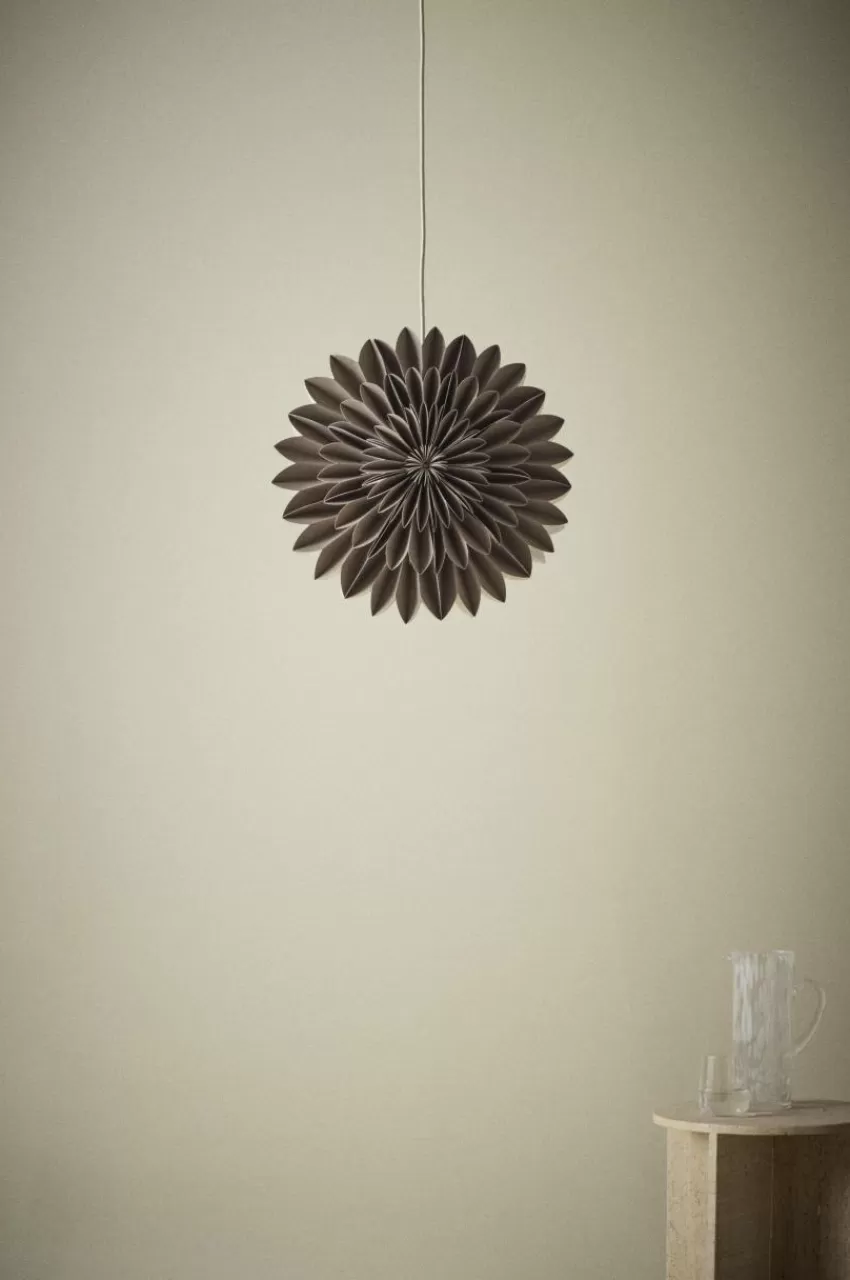 Julbelysning*Jotex CAPELLA Julstjärna ø 44 Cm Brun