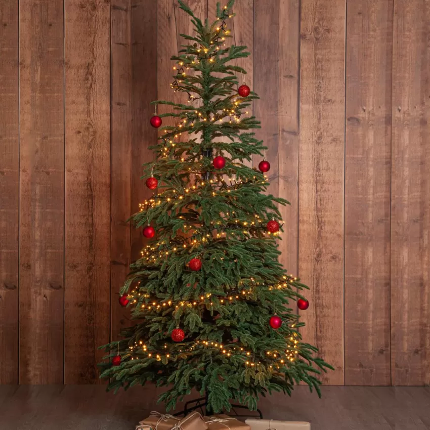 Utebelysning | Utebelysning*Jotex Julgran Edane 210cm Grön