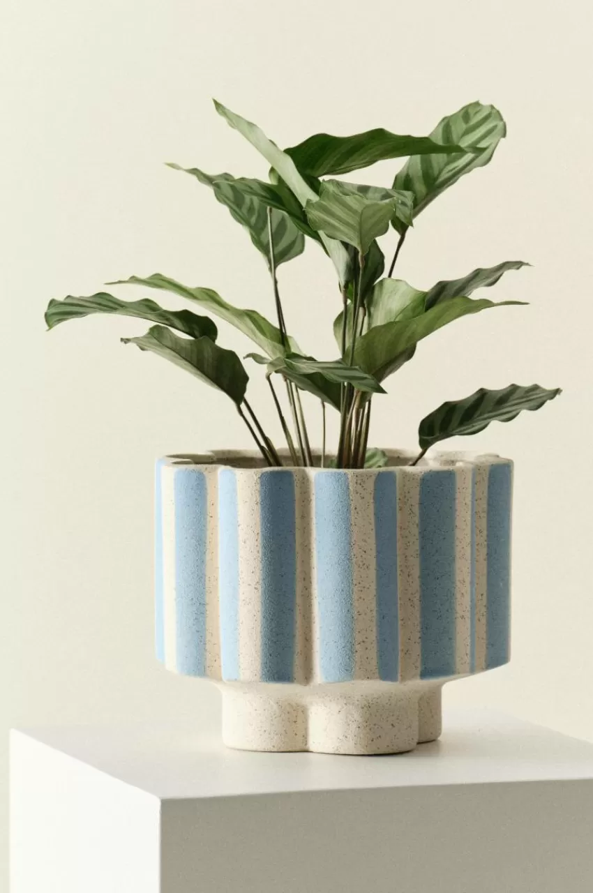 Krukor*Jotex SIGFRID STRIPE Kruka Blå/naturvit