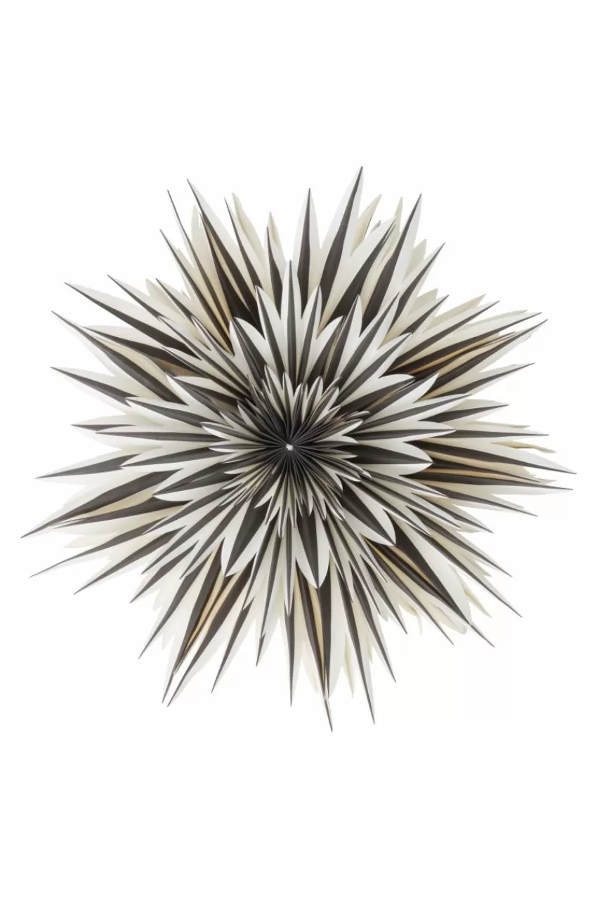 Julbelysning*Jotex SPICA Julstjärna ø 64 Cm Svart